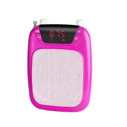 零距离K19小蜜蜂扩音器 玫瑰红教学专用便携音箱，多功能唱戏机的魅力