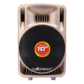 科王P10F广场舞音响 户外舞动，声动人心